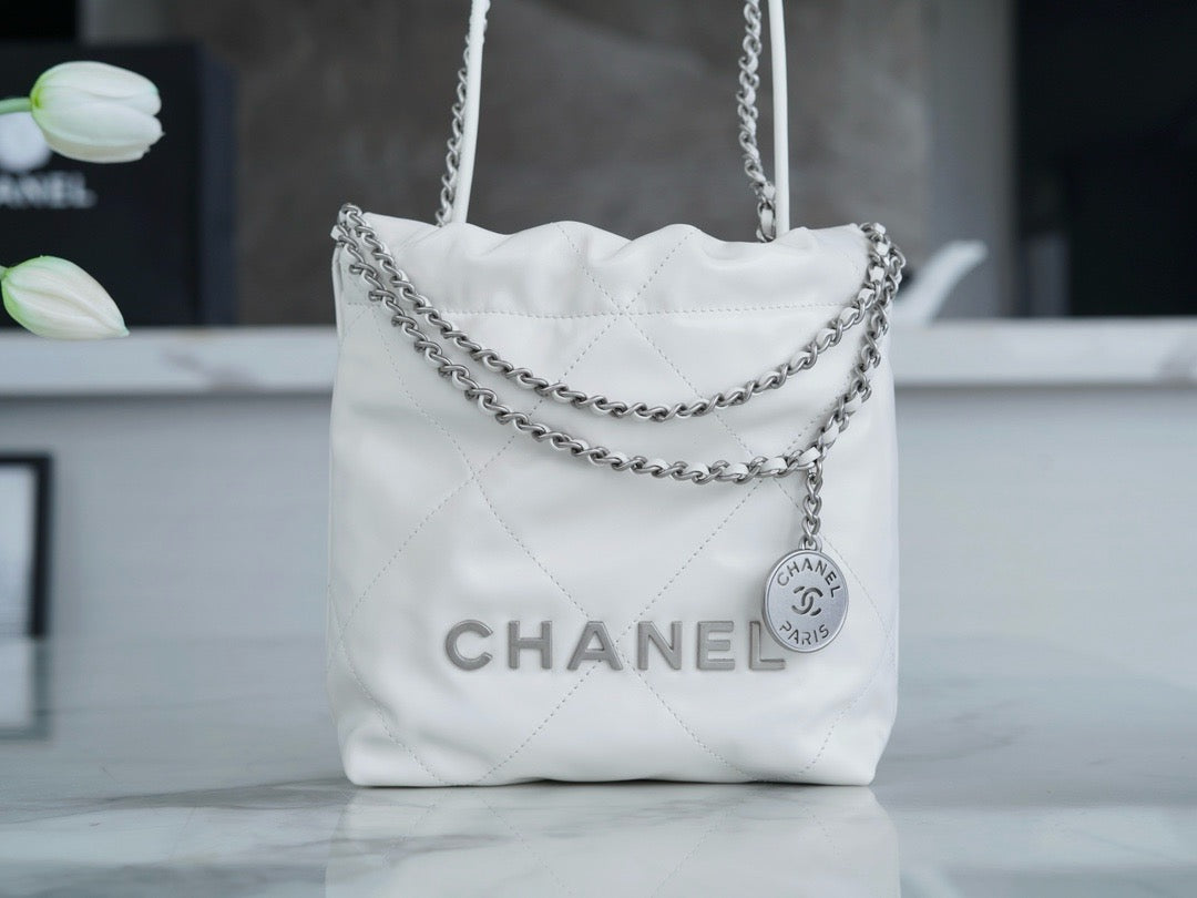 Chanel 22 Mini Platinum