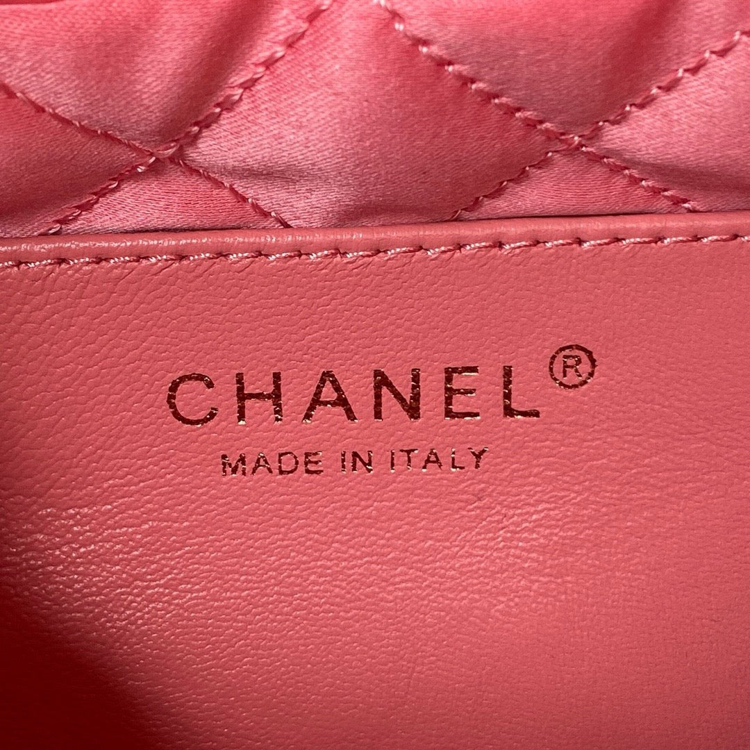 Chanel 22 Mini Handbag Coral Pink Platinum