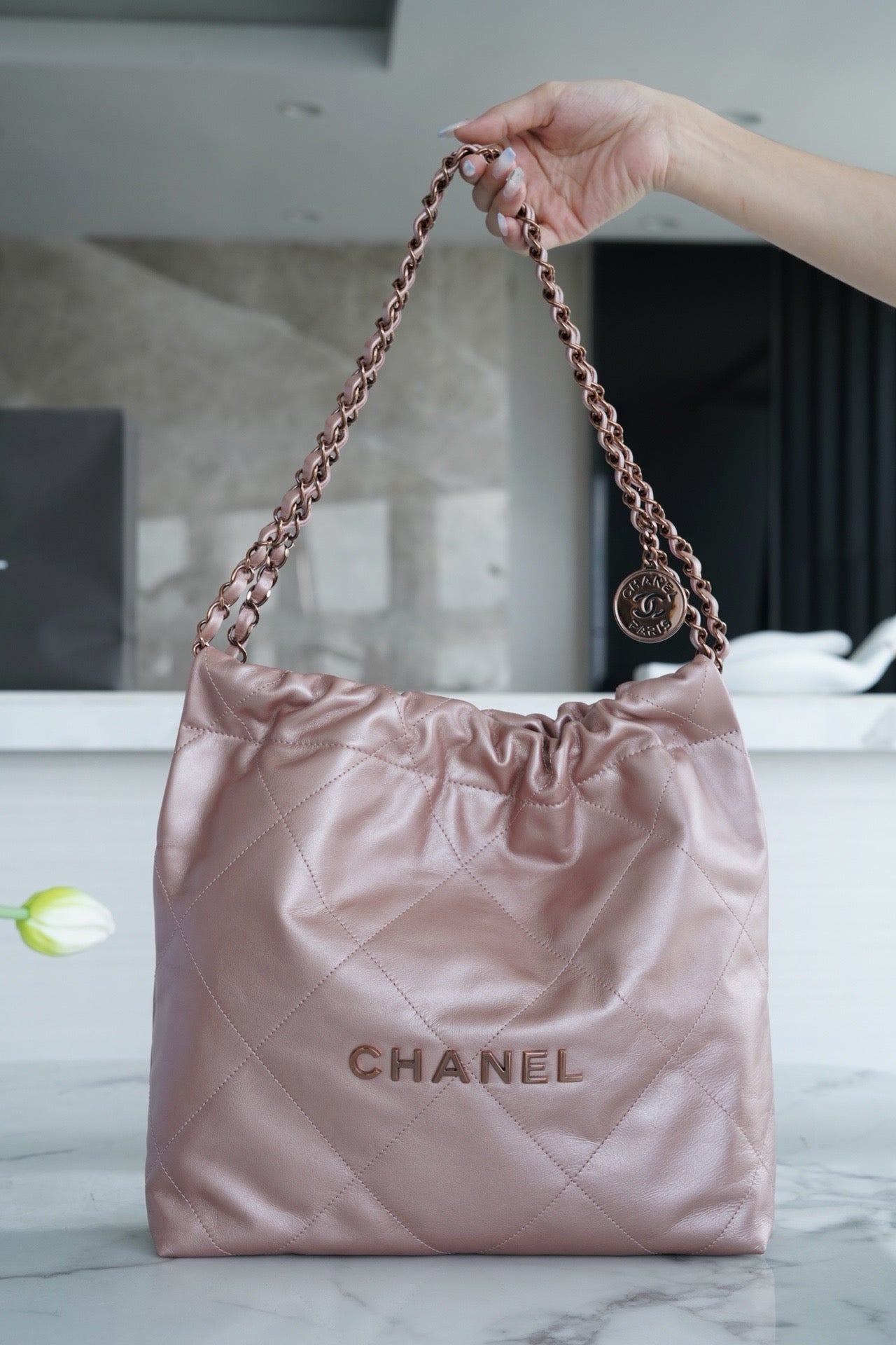 Chanel 22 Platinum Pearly Pink