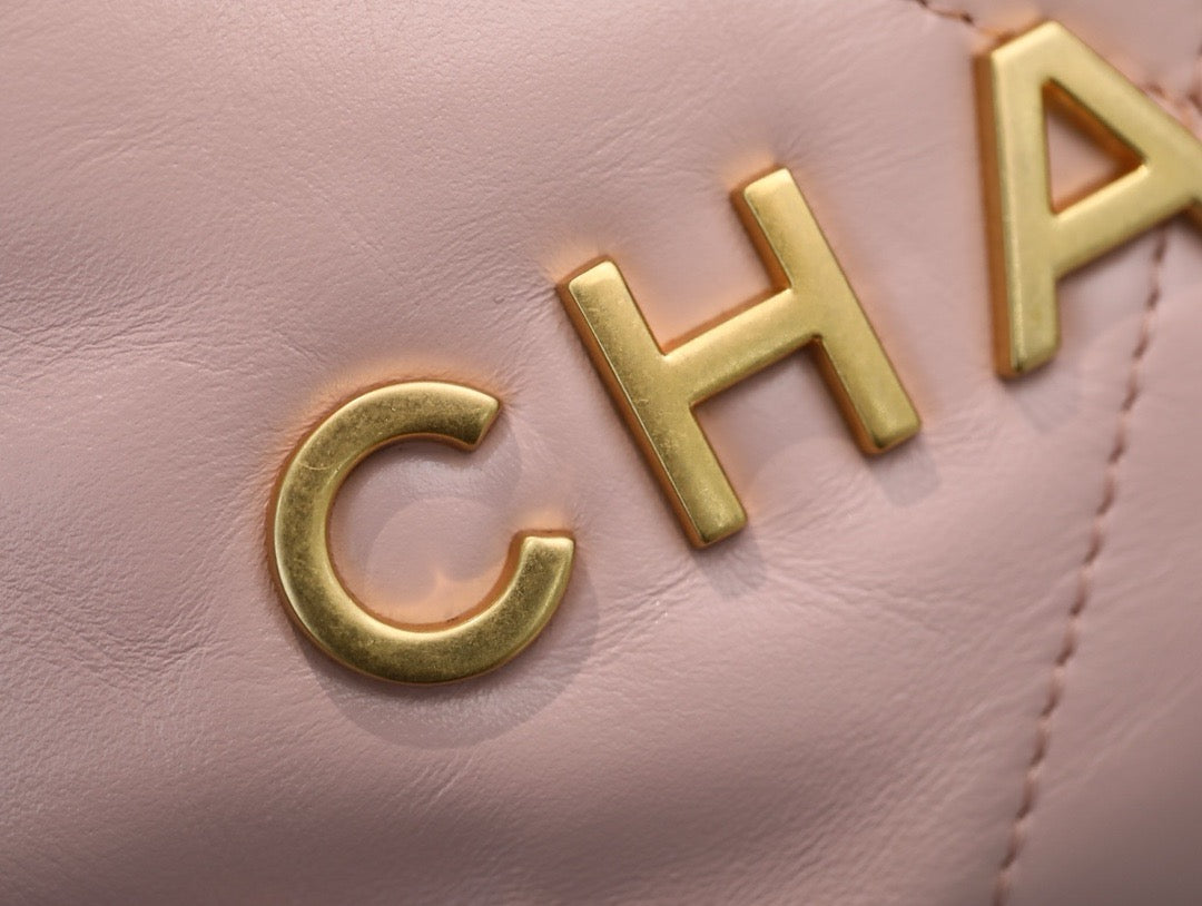 Chanel 22 Mini Handbag Pink Platinum