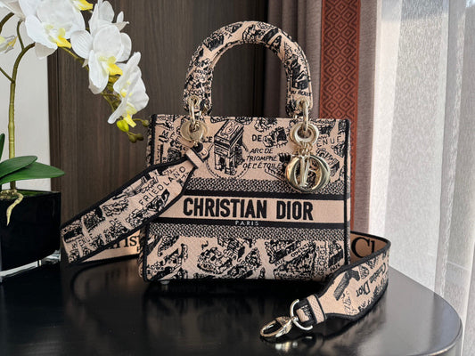 Dior Medium Lady D-Lite Bag Small - High Grade