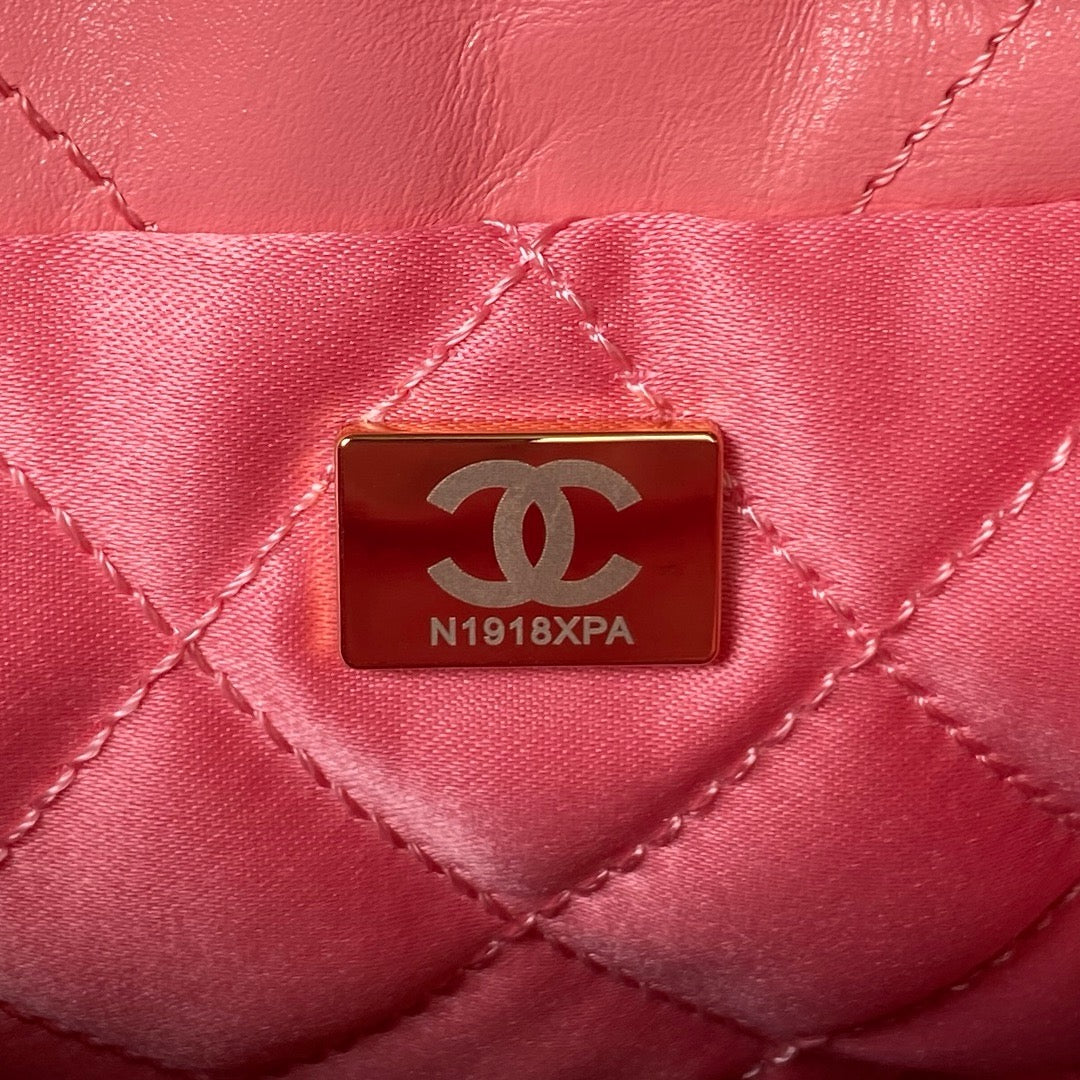 Chanel 22 Mini Handbag Coral Pink Platinum