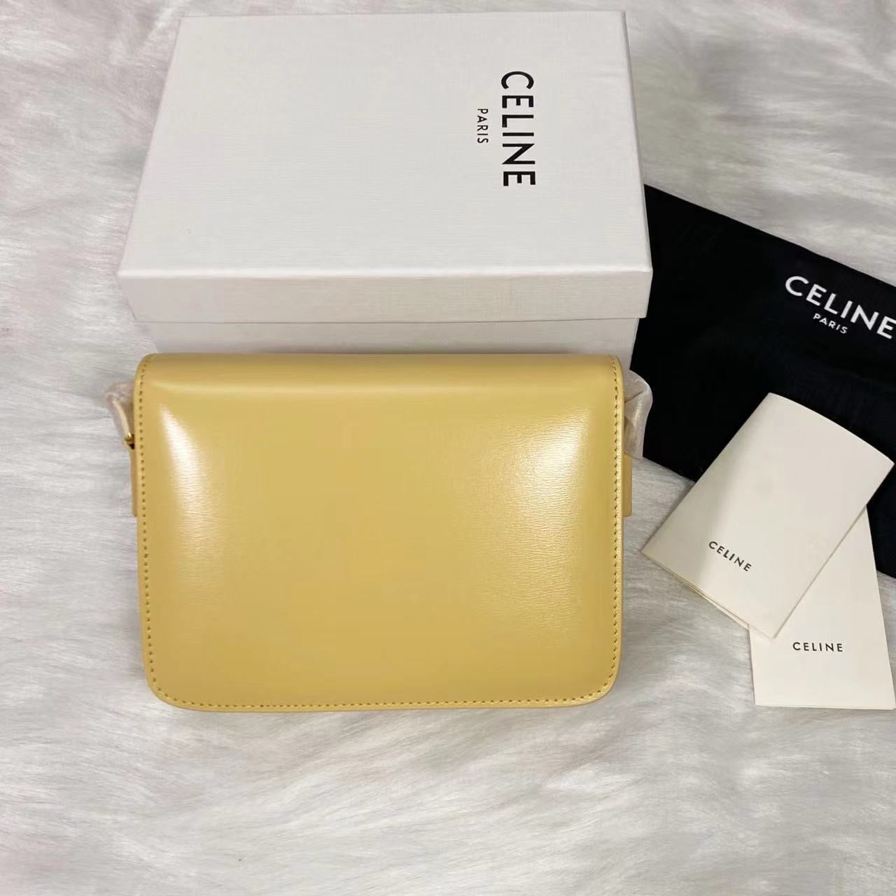 Celine Teen Triomphe Bag Shiny Calf Skin Yellow Mid-High Grade