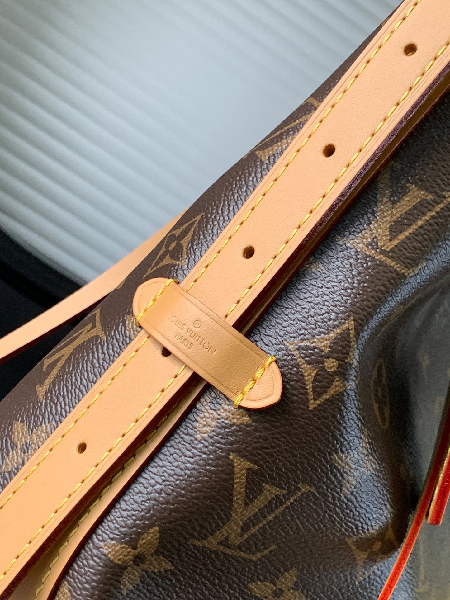 Louis Vuitton CarryAll PM High Grade